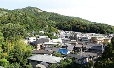 5階からの風景