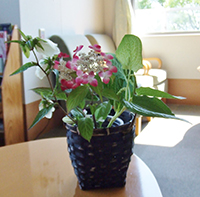 img_hospice19