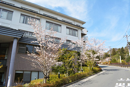 病院外観と桜