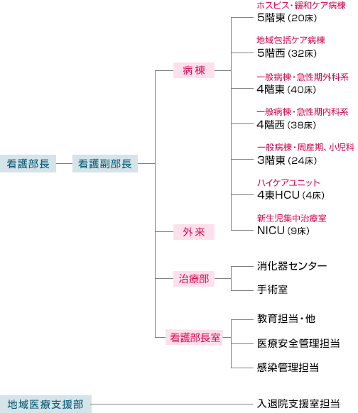 看護部の組織・各部署について